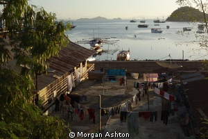 The town of Labuan Bajo on the island of Flores near Komo... by Morgan Ashton 
